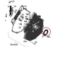 Tesnenie kľukového hriadeľa can-am Outlander Renegade G1 G2 420631933 420631932 10 ks