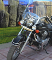 MOTON - Chrómovaný rám na predný blatník pre HONDA SHADOW VT 125