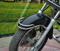MOTON - Chrómovaný rám na predný blatník pre HONDA SHADOW VT 125