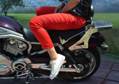 MOTON - Opierka spolujazdca - HARLEY DAVIDSON / V ROD
