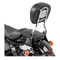 Opierka spolujazdca s nosičom pre Harley Davidson Sportster 2004-2020
