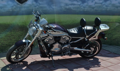 MOTON- Opierka spolujazdca pre Harley Davidson V Rod