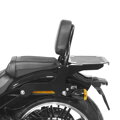 Opierka spolujazdca s nosičom pre Harley Davidson Softail 2017-2023
