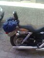 ROAD - Opierka spolujazdca HARLEY DAVIDSON SPORTSTER