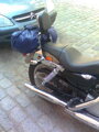ROAD - Opierka spolujazdca HARLEY DAVIDSON SPORTSTER