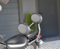 MOTON - Opierka spolujazdca - YAMAHA VIRAGO 535