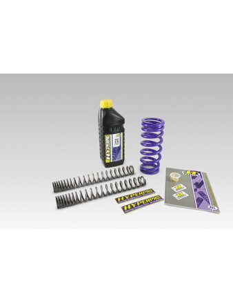 Sada pružin Honda GL1800