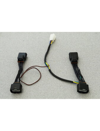 ELEKTROINŠTALÁCIA PRÍPOJNÉHO VOZÍKA HONDA GOLD WING 2018