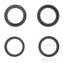 Gufera predných vidlíc All Balls Racing 43X54X11 s prachovkami XVZ 1300 Royal Star