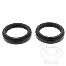 Gufera predných vidlíc All Balls Racing 41X53X8 pre XV 1700 Warrior