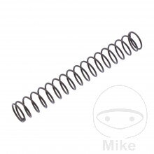 Pružina Rozvodová reťaz napinák  pre BMW R1200GS 2004-2007 (72kw verzia)