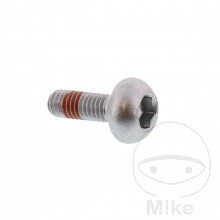 Skrutka Brzdový kotúč originálny diel M6X1X17MM 