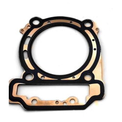 Tesnenie hlavy can-am Outlander Renegade commander 400 800 1000 G1 G2 420630195 420630850