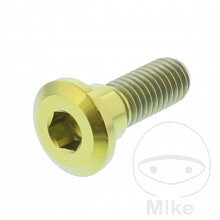 Skrutka brzdového kotúča JMP Bolt M8X1.25 mm 24 mm Titan zlatá farba pre  pre Shadow VT750 C2 Spirit RC53 2007-2009