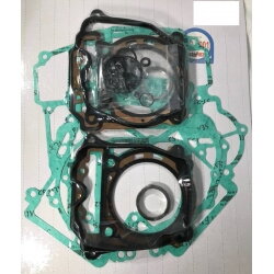 Tesnenia pre celý motor Can-am Commander Maverick Renegade Outlander 800 06-15