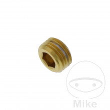 Zarážka kolíka M10 x 1.00 mm Titan čierny pre Yamaha MT10  FZ10 RN45 2016-2021