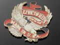 Nalepovacie emblem LIVE TO RIDE, 80mm, zlatý