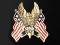 Nalepovacie emblem USA HAWK, zlatý