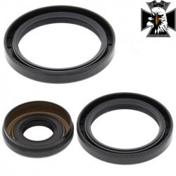 Tesnenia predného diferenciálu Kawasaki KVF 360 650 750 25-2066-5