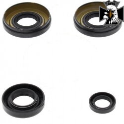 Tesnenie zadného diferenciálu Kawasaki KVF 650 750 25-2091-5