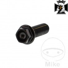 Skrutka šesťhranná M10 x 1.25 35 mm nerez V4A čierny pre Triumph Rocket 2300 2004-2016