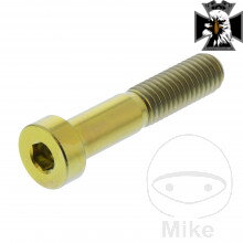 Skrutka valca M8X1.25 40 mm Titán zlatý pre Kawasaki Vulcan 2000 2004-2010