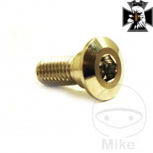 Skrutky brzdového kotúča M8X1.25 mm 20 mm nerez V4A pre Yamaha MT09 / FZ09 RN69 2024-2025