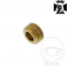Zarážka kolíka nerez V4A zlatý pre Yamaha MT10  FZ10 RN45 2016-2021