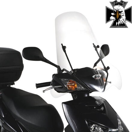 GIVI PLEXI DYLAN-BEVERLY-B&W '04 102A