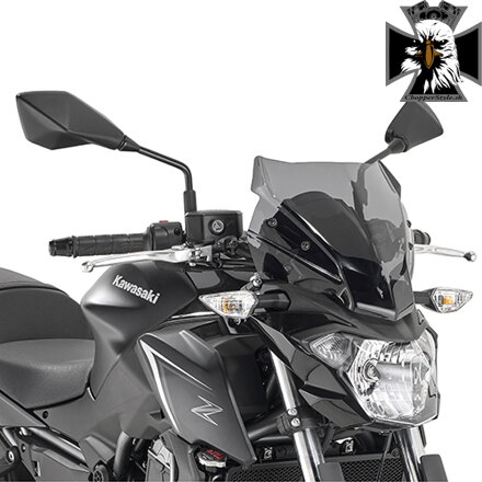 GIVI PLEXI KAWASAKI Z 650 (17-19) A4117