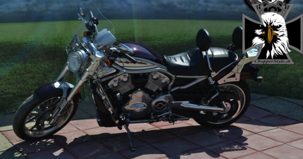 MOTON - Opierka spolujazdca - HARLEY DAVIDSON / V ROD