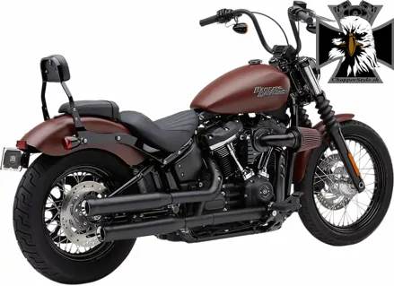 Cobra - Neighbor Hater koncovky výfuku pre Harley Davidson Softail 2018-2025