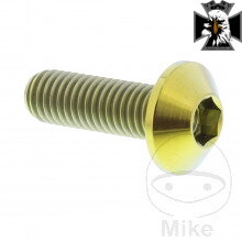 JMP - Skrutka do predného / zadného brzdového kotúča M8X1.25 mm 25 mm pre Yamaha Midnight Star XVS 950 2009-2015 JMP - Skrutka do predného / zadného brzdového kotúča M8X1.25 mm 25 mm pre Yamaha Midnight Star XVS 950 2009-2015