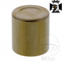 Odvzušňovacia skrutka Nissin Tourmax JMP 7570093 M8X1.25 mm pre Honda GL1800 GoldWing 2001-2017 Odvzušňovacia skrutka Nissin Tourmax JMP 7570093 M8X1.25 mm pre Honda GL1800 GoldWing 2001-2017