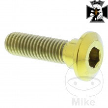Skrutka brzdového kotúča JMP Bolt M8X pre Kawasaki Vulcan VN900 2006-2017 1.25 mm 30 mm Titan zlatá farba Skrutka brzdového kotúča JMP Bolt M8X pre Kawasaki Vulcan VN900 2006-2017 1.25 mm 30 mm Titan zlatá farba
