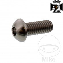 Skrutky brzdového kotúča M8X1.25 mm 20 mm Titan pre BMW R1200GS 2004-2007 (72kw verzia) Skrutky brzdového kotúča M8X1.25 mm 20 mm Titan pre BMW R1200GS 2004-2007 (72kw verzia)