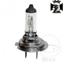 Žiarovka 12V55W H7 LL JMP ID 1591270 pre BMW R1250 GS 2019-2023 Žiarovka 12V55W H7 LL JMP ID 1591270 pre BMW R1250 GS 2019-2023