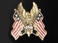 Nalepovacie emblem USA HAWK, zlatý Nalepovacie emblem USA HAWK, zlatý